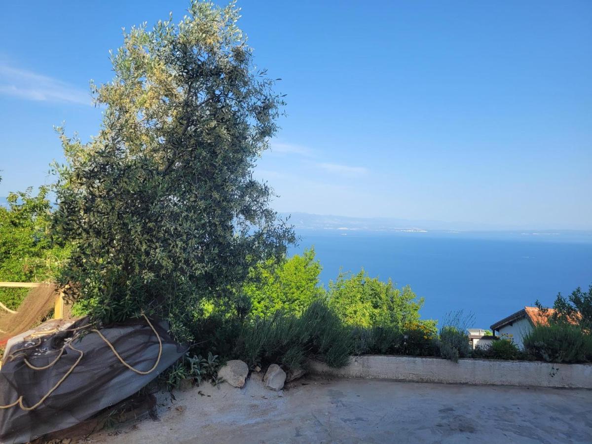 Ferienwohnung Mit Pool Kroatien Mit Meerblick Und Pool Lovran Eksteriør billede